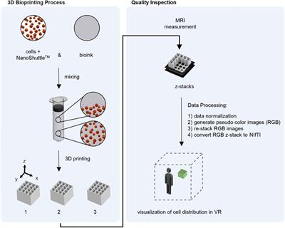 Virtual Reality as Tool for Bioprinting Quality Inspection: A Proof of Principle